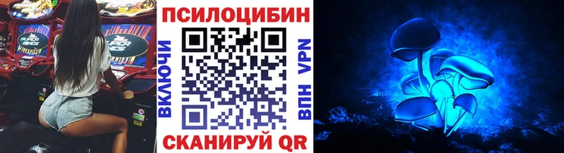 Купить  Долгопрудный  Галлюциногенные грибы мицелий 